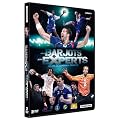 Des barjots aux experts : 20 ans de handball fran�ais