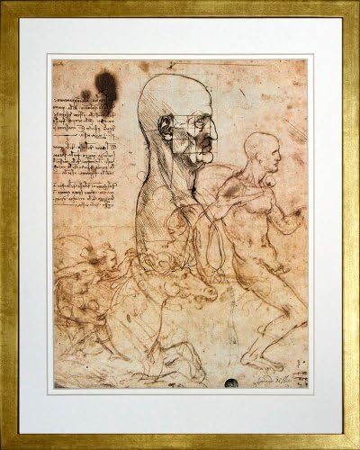 Study of the Human Physiognomy by Leonardo da Vinci. Framed Art Print Poster. Custom Made Real Wood Modern Scratched Gold Frame (17 1/8 x 21 1/8)