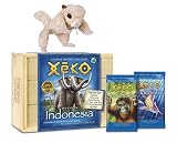 Eco-Pal Flying Sumatran Squirrel and Xeko Mission: Indonesia