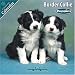 Border Collie Puppies 2010 Wall Calendar #10210-10