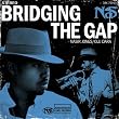 Bridging The Gap