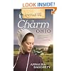Love Finds You in Charm, Ohio