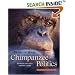 Chimpanzee Politics: Power and Sex among Apes