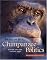 Chimpanzee Politics: Power and Sex among Apes