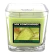 Honeydew Soy Powerhouse Candle- Light Green