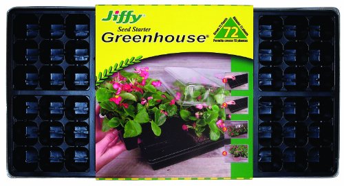greenhouse seeds