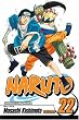 Naruto, Vol. 22: Comrades
