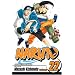 Naruto, Vol. 22: Comrades