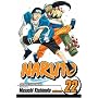 Naruto: v. 22 (Naruto): v. 22 (Naruto)