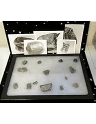 Single Detail Page Misc: CIVIL WAR BATTLE OF GETTYSBURG DUG BULLETS LOT OF 14 + - CIVIL WAR