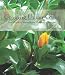 Image of Growing Under Glass: Your Guide to Greenhouse Gardening Success