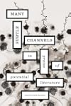 Many Subtle Channels: In Praise of Po...