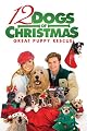 12 Dogs Of Christmas: Great Puppy Rescue