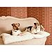 Pet Dreams Dog Crate Pad - Washable Kennel Mat, Crate Pads for Dog Cages, Non-Toxic, Flat Indoor Cat Bed, Fits iCrate 18, 24, 30, 36, 42, 48 Inches (Beige, XL, 42 Inch)
