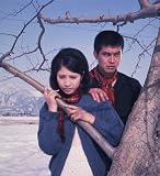 Tokyo Drifter (The Criterion Collection) [Blu-ray]