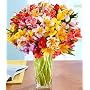 Flowers - Peruvian Lilies Flowers with Vase