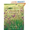 Making a Wildflower Meadow