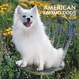American Eskimo Dogs 2009 Wall Calendar 12 X 12