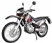 200cc Trail Blazer Endro