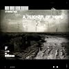  A flicker of hope