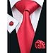 CAOFENVOO Men's Silk Tie Necktie set