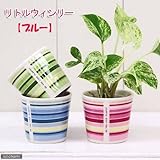 リトルウィンリーの鉢 ブルー(φ6.3×H5.5cm)(ハイドロ苗4.5φに対応)