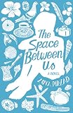 The space between us