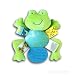Froggie Taggie Teether and Squeaker