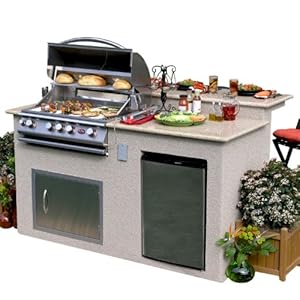 bbq grill with refrigerator
