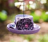 Birdhouse purple