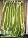 2 Organza Light Green Starburst Embroidered Curtains Panels Drapes 92"