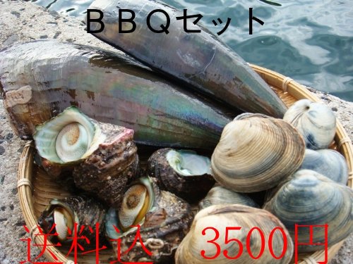 バーベキューに! 貝類お楽しみセット 4~6人前