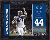 Dallas Clark Indianapolis Colts 8x10 Color Plaque