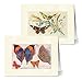 Note Card Cafe All Occasions Greeting Card with Envelopes | 36 Pack | Blank Inside, Glossy Finish | 12 Various Vintage Butterflies Designs | Assorted Set for Greeting Cards, Corporate, Friends