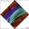 Image of album by Wild Beasts