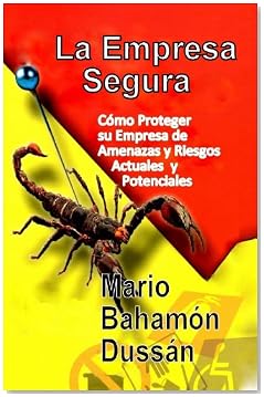 SEGURIDAD EN DOS PALABRAS (Spanish Edition)