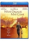 What Dreams May Come [Blu-ray] [1998] [US Import]