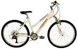15.5 Inch Frame Bike