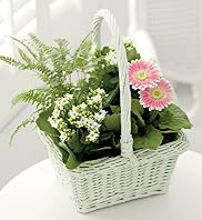 Willow Basket
