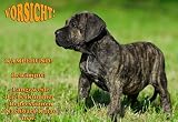 Metall - Warnschild Dogo Canario, Alano
