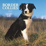 Border Collies Wall Calendar 2009