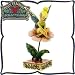 木彫り調フィギュア 花の上のティンカー・ベル 「座る美女」 ＜ピーターパン＞ Tinkerbell Ornament ディズニー・トラディション_s-1