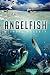 Angelfish by Michael Walrath