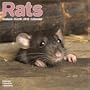 RATS 2010 Wall Calendar #30441-10