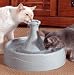 Drinkwell 360 Dog Fountain