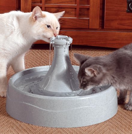 Drinkwell 360 Cat Fountain