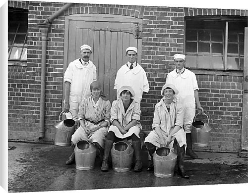 Canvas Prints of Dairy Farm from Country Life 