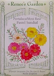 Portulaca Moss Rose Seeds 70 Seeds