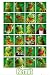 The Muppets - Kermit Collage - Official Poster - 36 x 24 inches von The Muppets - alle Infos
