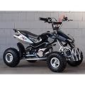 Mini Quad ATV Kinderquad 49 cc Powerquad 49ccm 2010 NEU